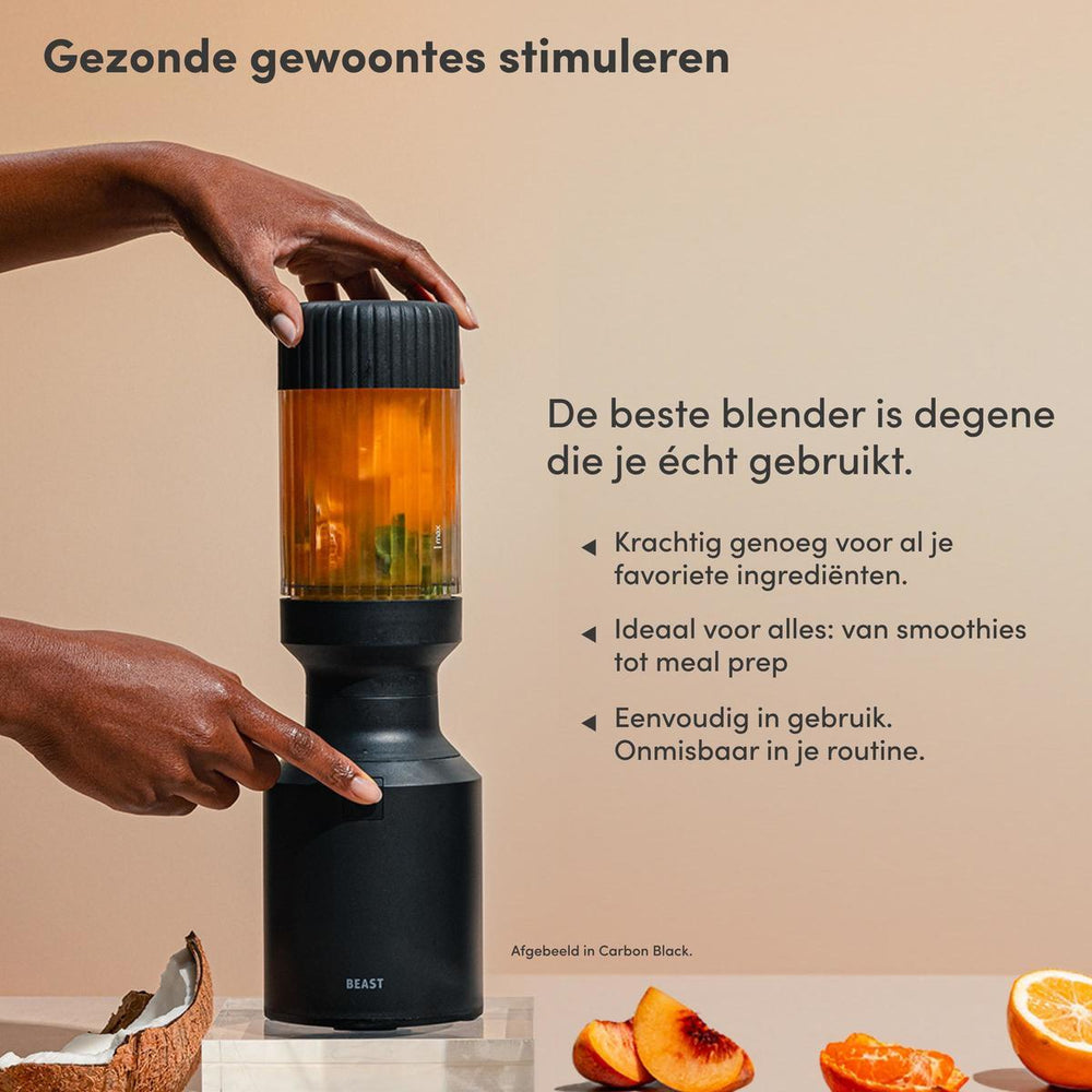 B85MH-RU2 | Terra | Nederlands